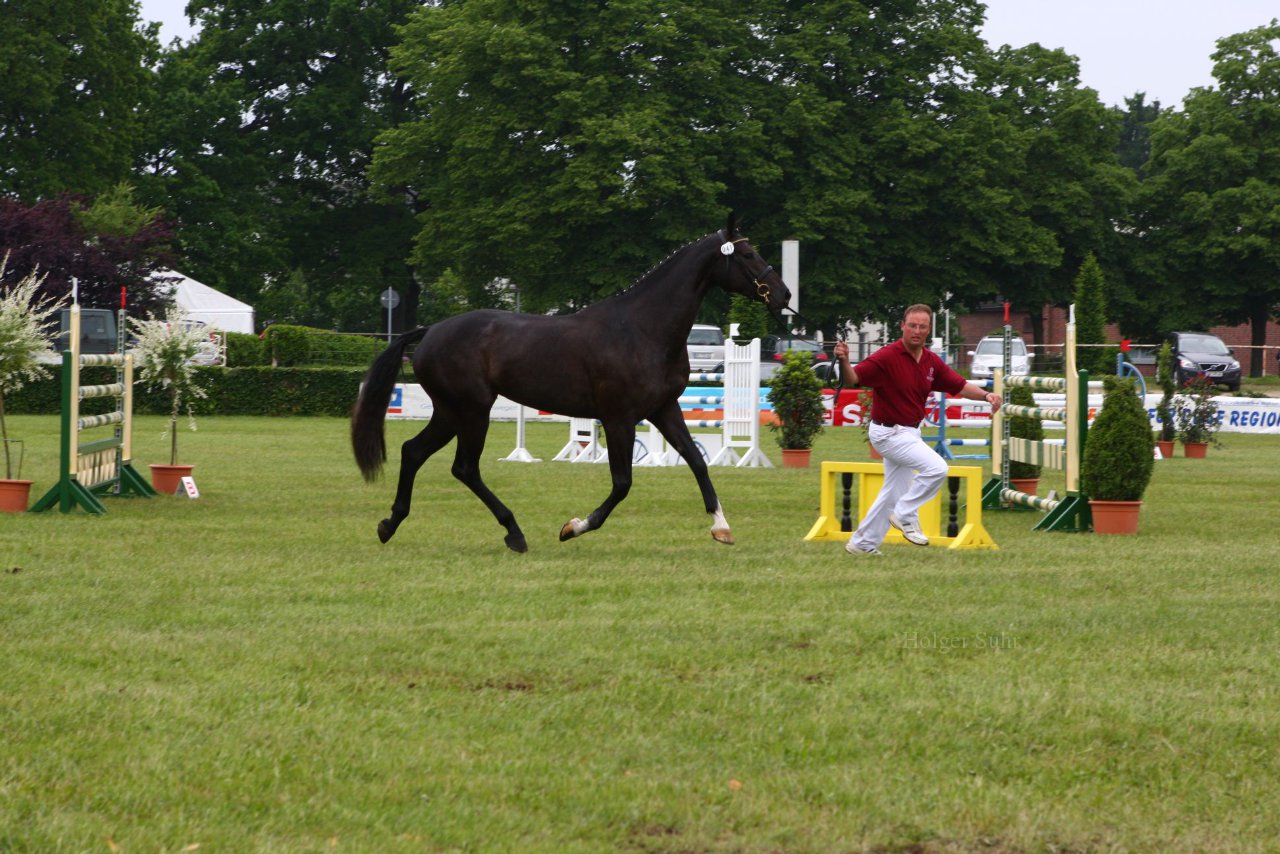 Bild 65 - Elmshorn am 9.6.10